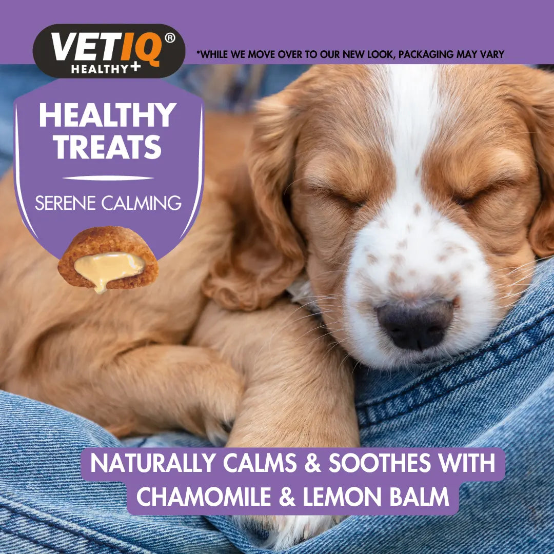Sleeping puppy with VETIQ Serene Calming treats, made with chamomile and lemon balm