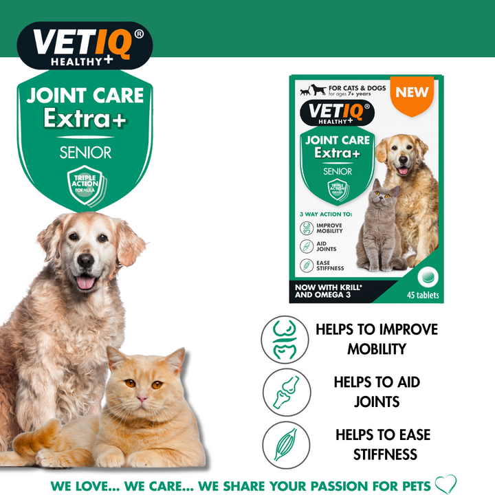 VetIQ Joint Care Extra+ Senior pack with older dog and cat: helps improve mobility, aid joints and ease stiffness