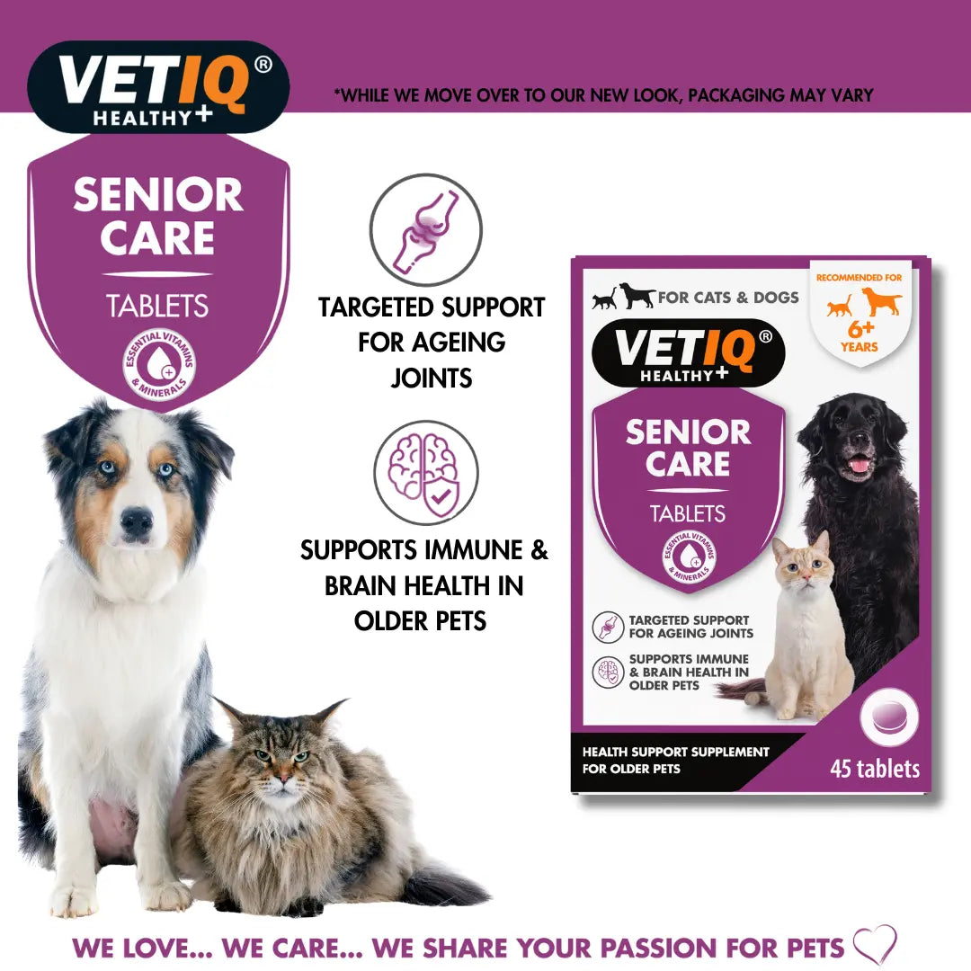VETIQ Senior Care Tablets: targeted support for ageing joints, supports immune and brain health in older pets
