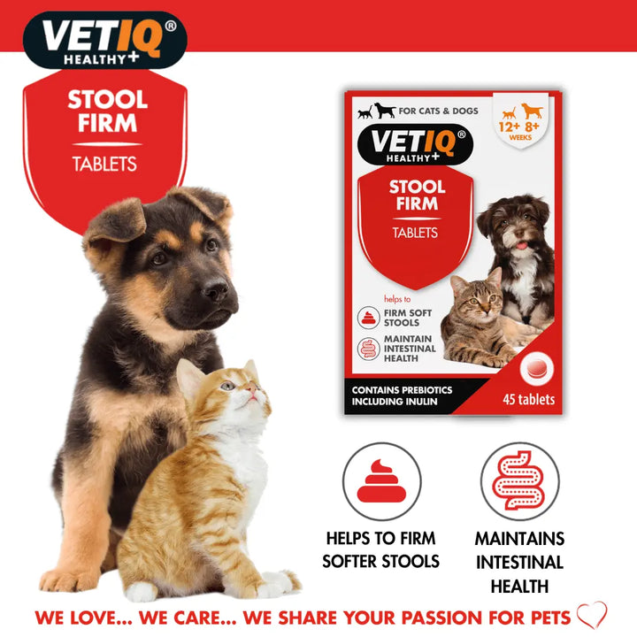 Puppy and kitten with VetIQ Stool Firm tablets pack: helps to firm softer stools, maintains intestinal health