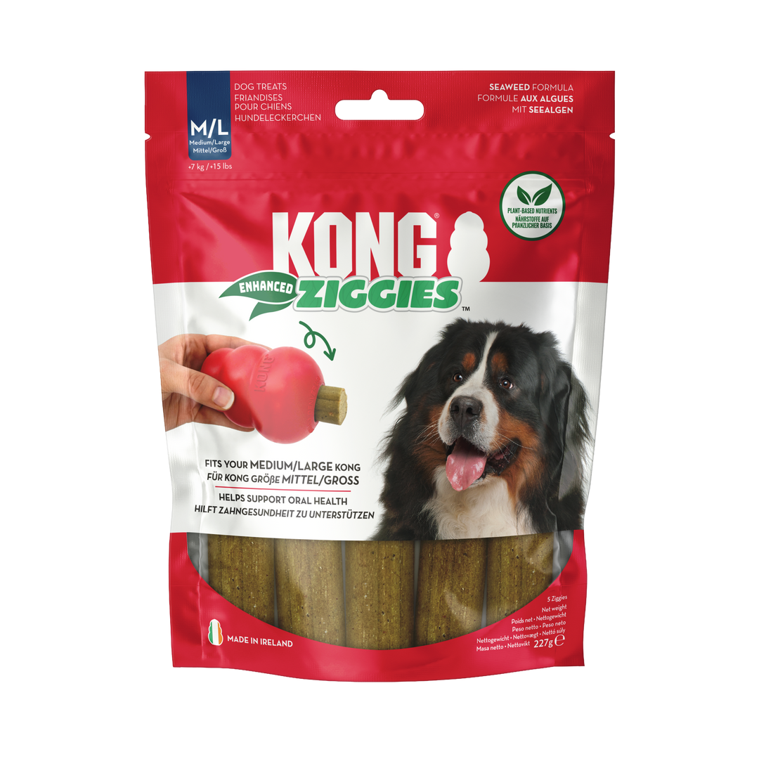 KONG Ziggies