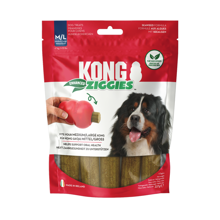 KONG Ziggies