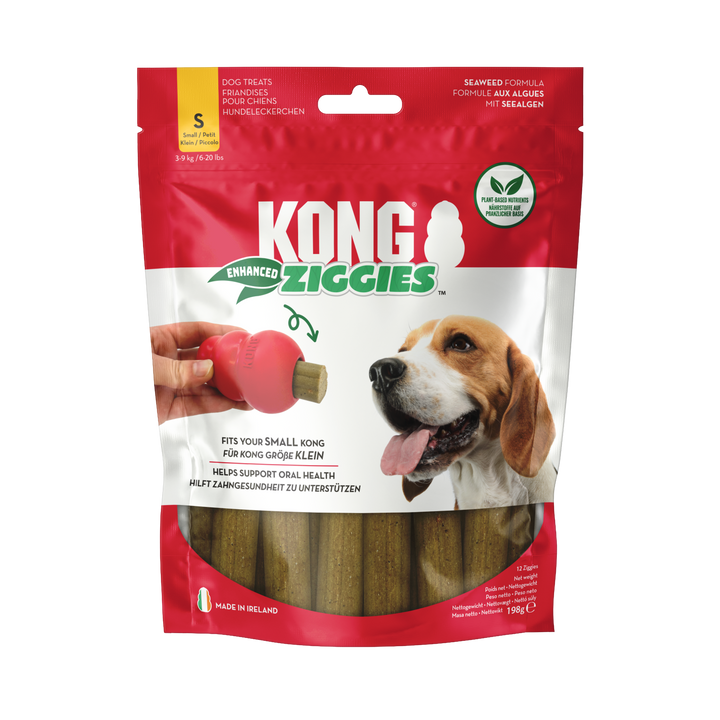 KONG Ziggies