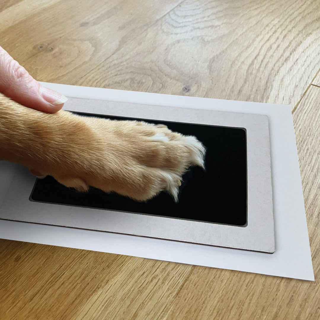 Dog paw being pressed onto the Oh So Precious XL clean touch ink pad