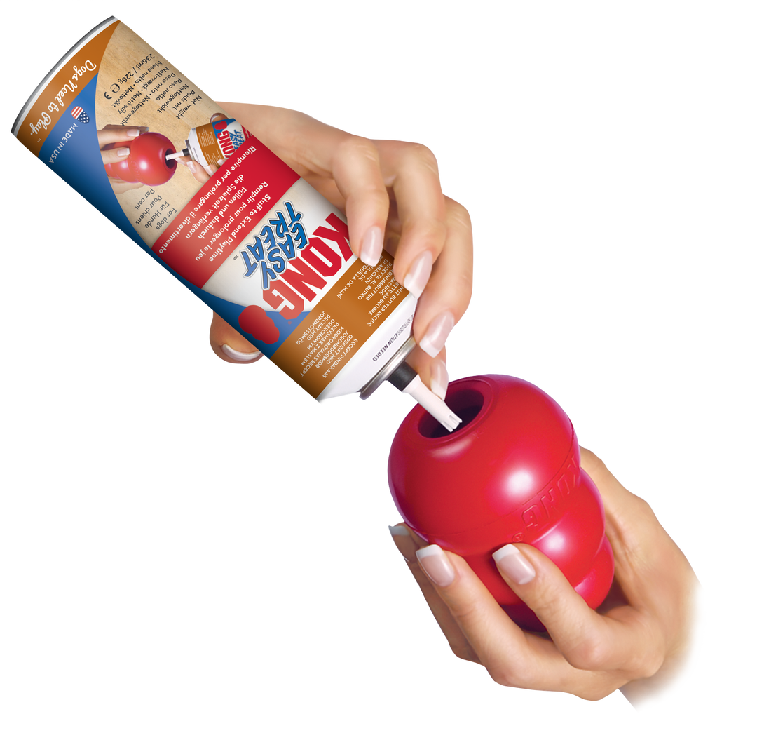 KONG  Easy Treat Peanut Butter Paste