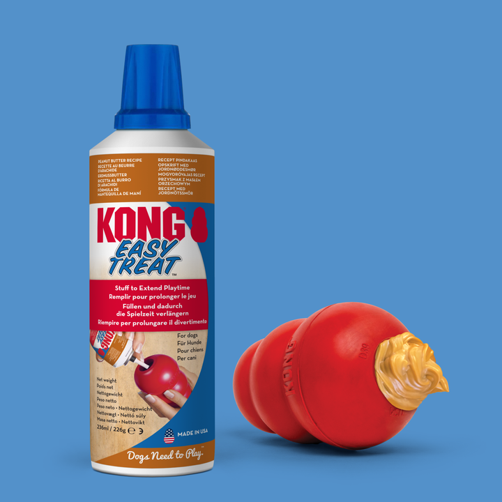 KONG  Easy Treat Peanut Butter Paste