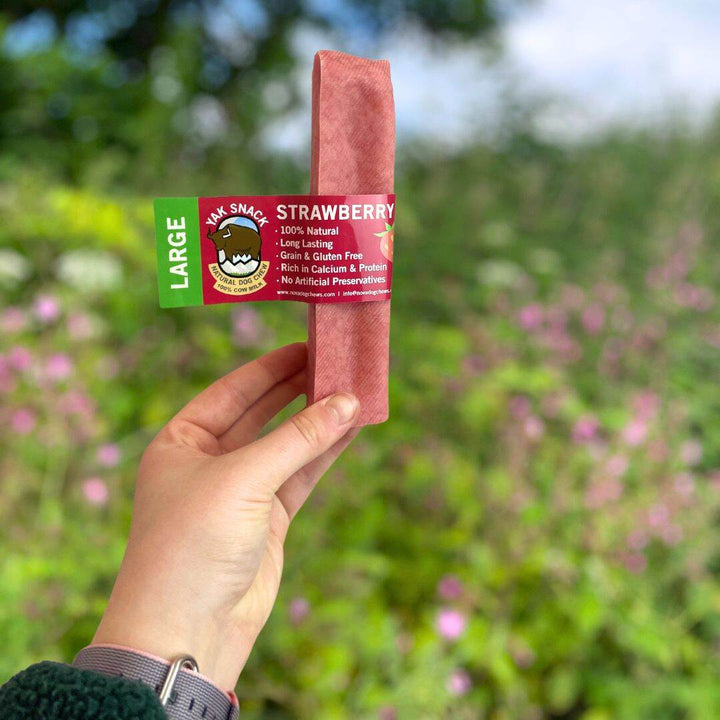 Himalayan Yak Snack Dog Treat