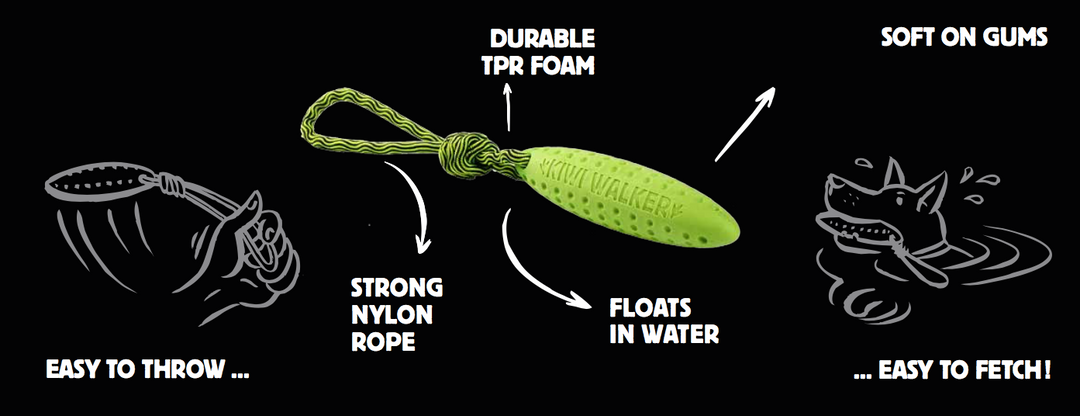 Kiwi Walker Zeppelin Latex Dog Toy - PetWorld