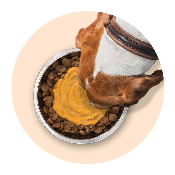 Zoë Licky Snack used as a food topper on dry dog food in a bowl
