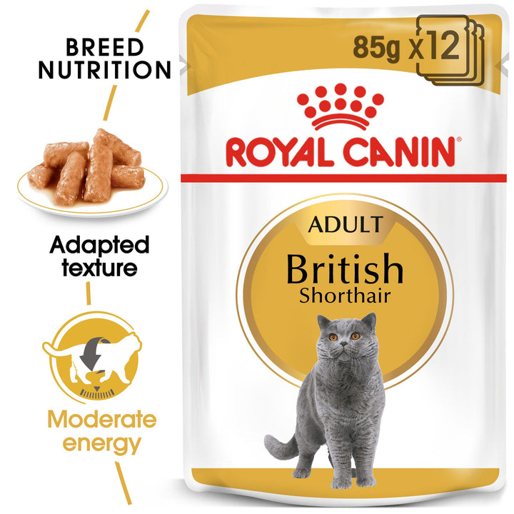 Royal Canin British Shorthair Adult 85g x 12 pouch: breed nutrition, adapted texture, moderate energy