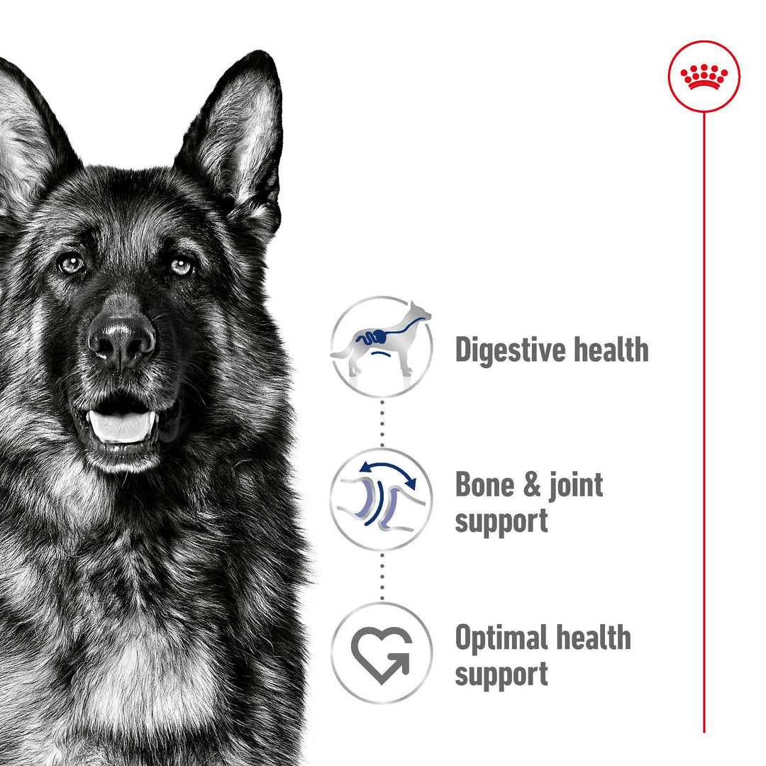 Royal Canin Maxi Adult benefits: digestive health, bone and joint support, optimal health support