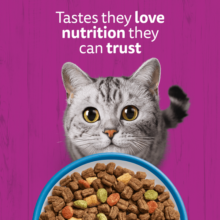Tabby cat with a bowl of Whiskas dry cat food kibbles