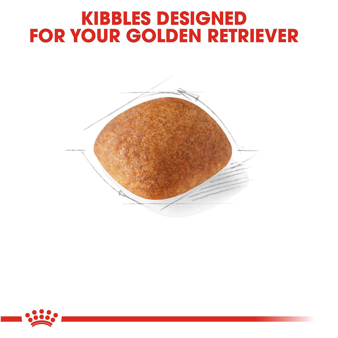 Royal Canin Golden Retriever - PetWorld