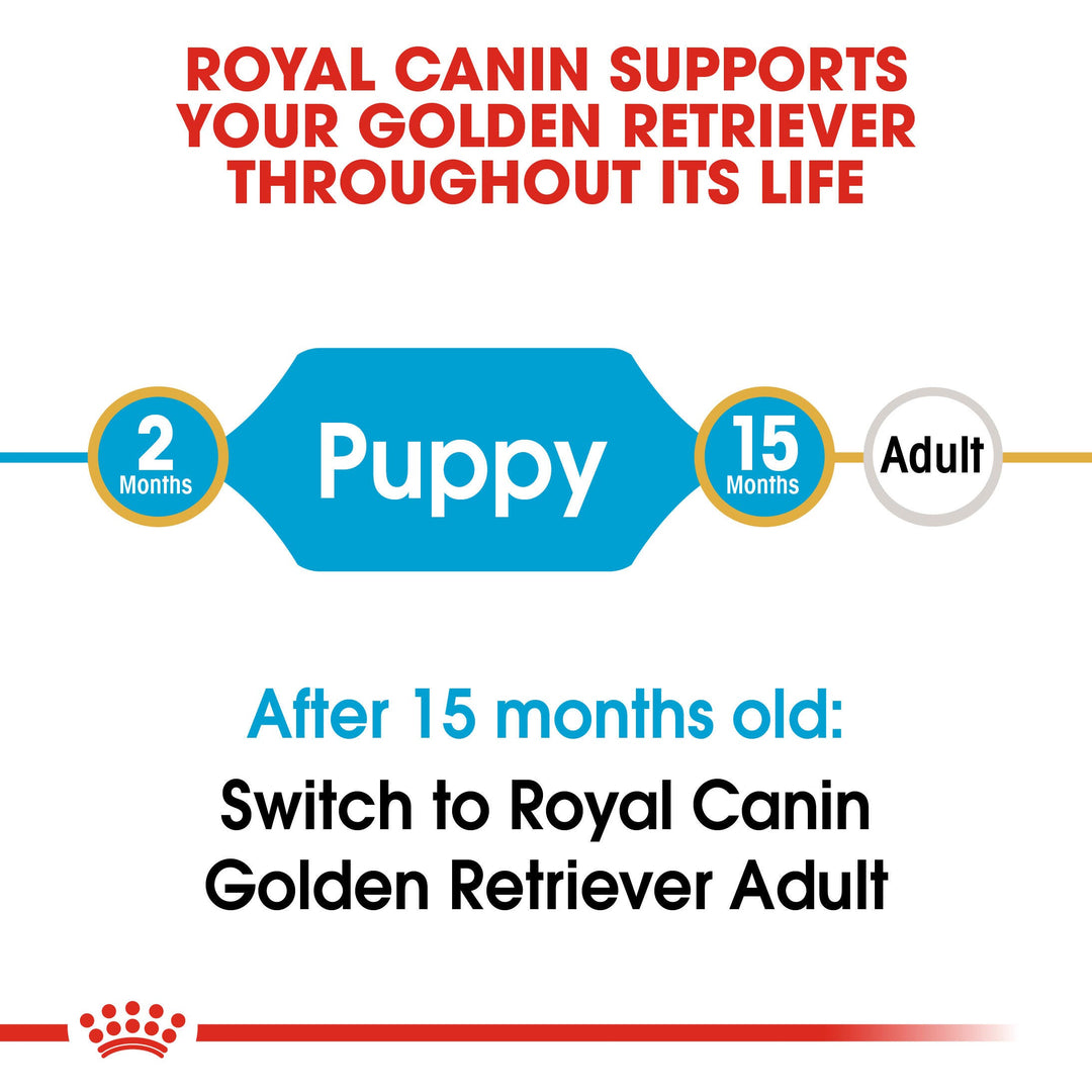 Royal Canin Golden Retriever Puppy from 2 to 15 months, then switch to Golden Retriever Adult