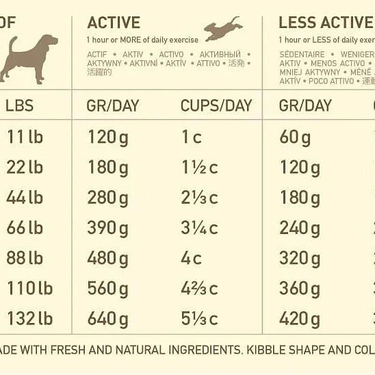 ACANA Adult Dog Food bag featuring free-run chicken, wild-caught flounder, and cage-free eggs for healthy adult dogs.