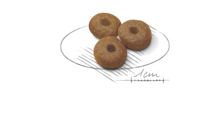 Royal Canin Maxi Mother and Baby Dog Food - PetWorld