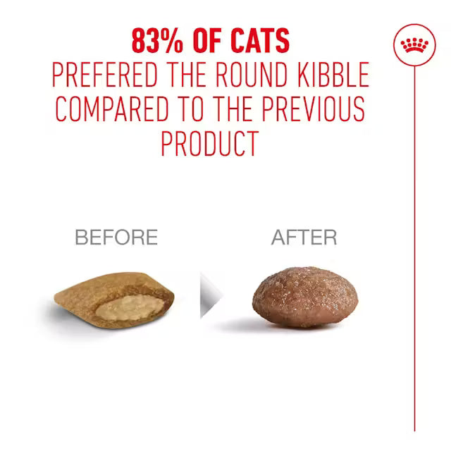 Royal Canin Ageing 15+ Cat Food