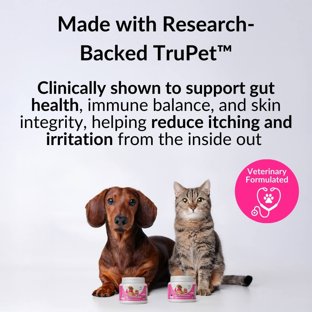 Dachshund and cat with NutriPaw All-Itch Food Topper tubs: made with research backed TruPet