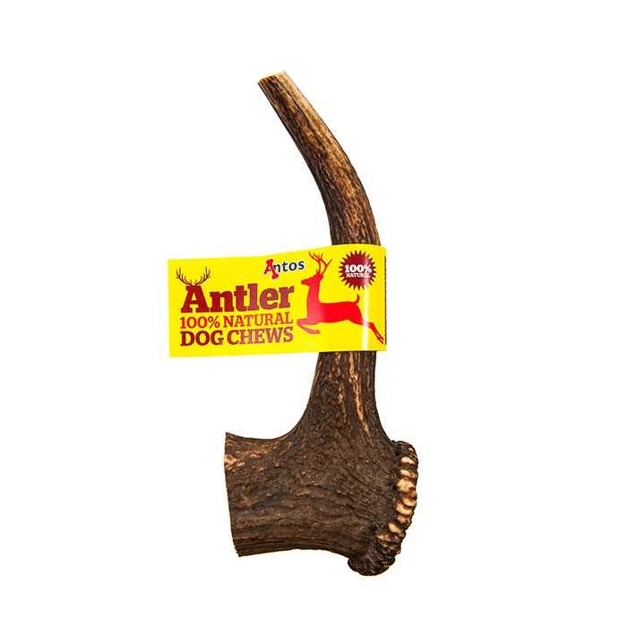 Extra-large Antler Dog treat Petworld Ireland