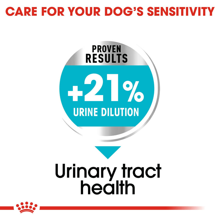 Royal Canin Mini Urinary Care proven results: 21% more urine dilution for urinary tract health