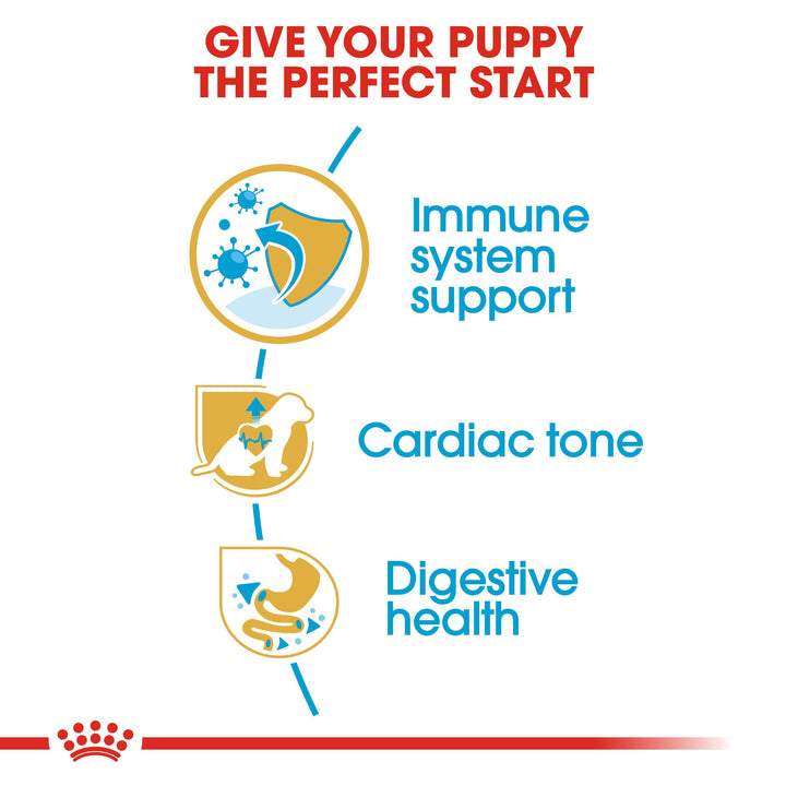 Royal Canin Cavalier King Charles Puppy benefits: immune system support, cardiac tone, digestive health