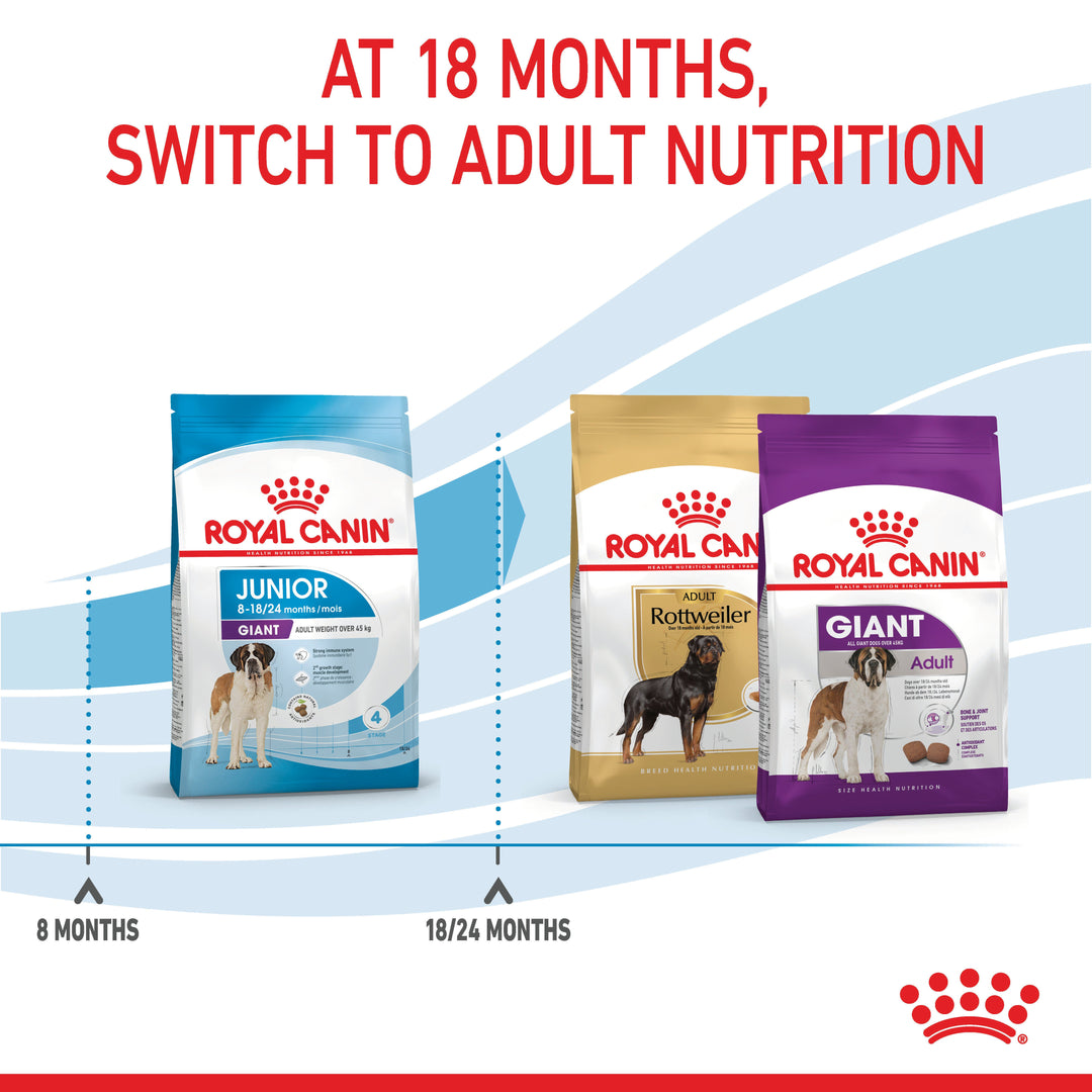 Royal Canin Giant Junior graphic: at 18 months switch to Giant Adult nutrition