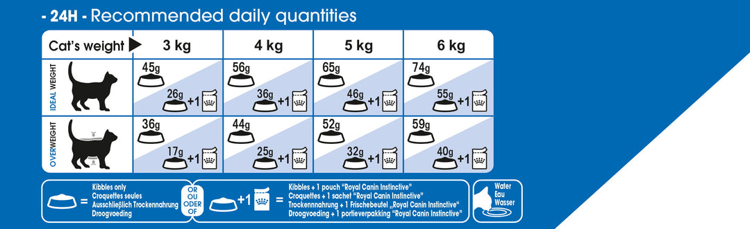 Royal Canin INDOOR 27 Cat - PetWorld