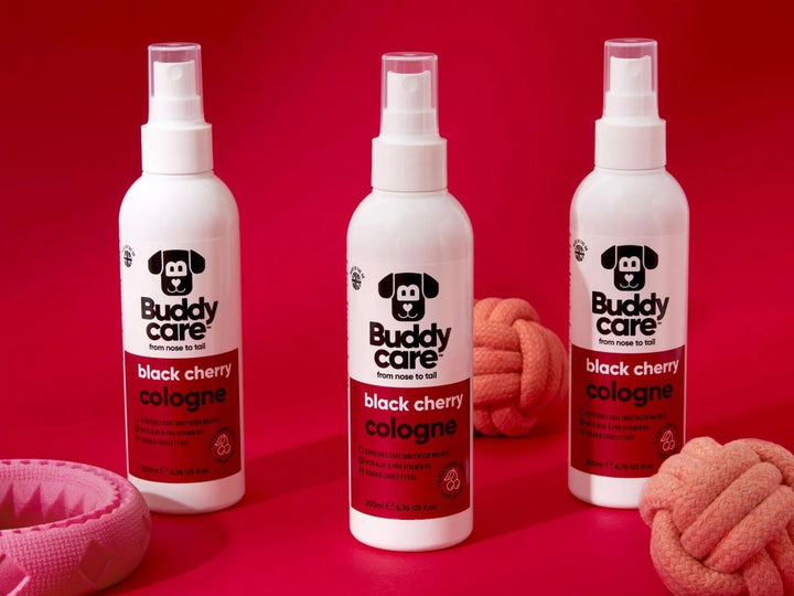 Buddycare 200ml Cologne Black Cherry