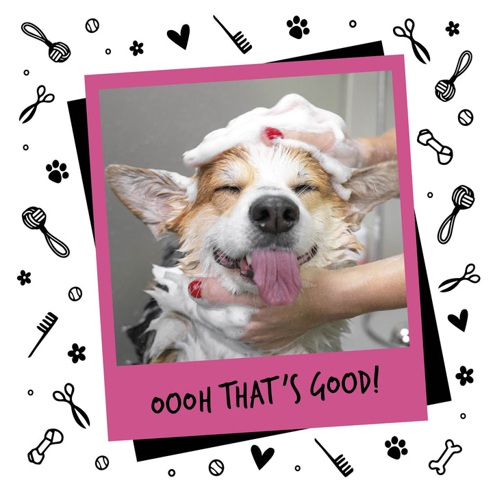 Bugalugs Oatmeal Dog Shampoo with Coconut & Lime 500ml - PetWorld