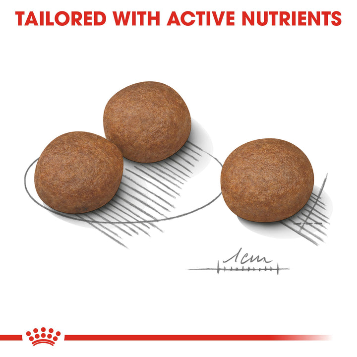 Royal Canin Medium Digestive Care kibble tailored with active nutrients