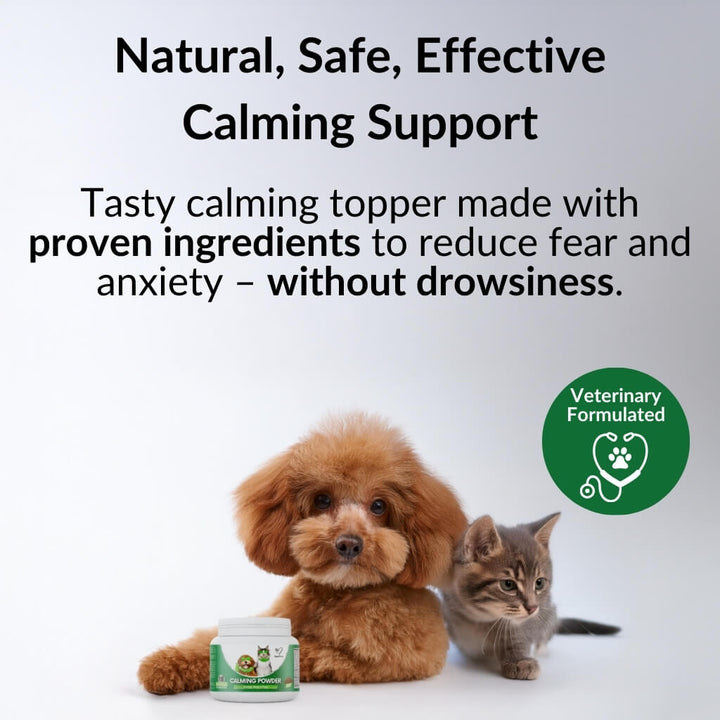 Poodle and kitten with NutriPaw Calming Food Topper: natural, safe calming support without drowsiness