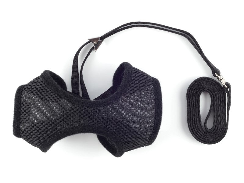 cat lead and harness black