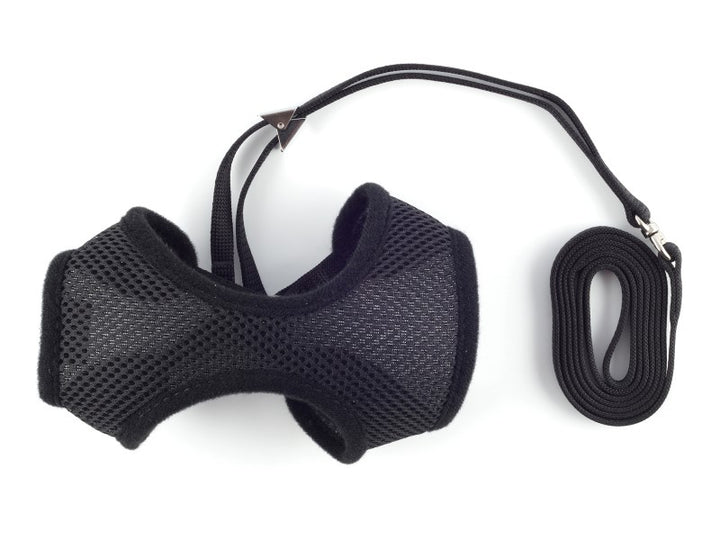 cat lead and harness black