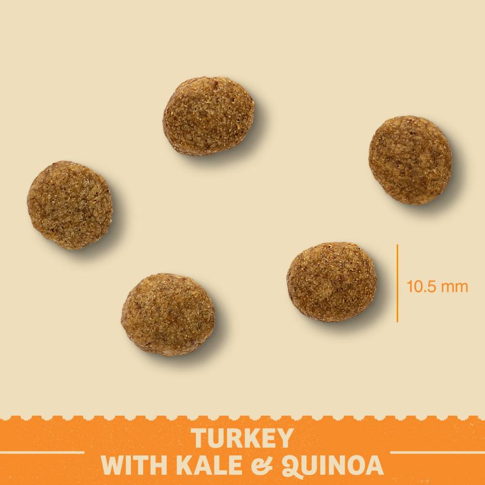 puppy turkey with kale kibble