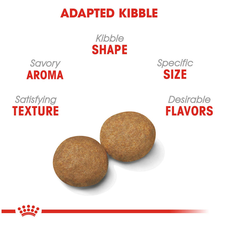 Royal Canin Medium Adult Dog Food - PetWorld