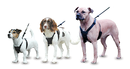 COA Non-Pull Harness Large Petworld Ireland