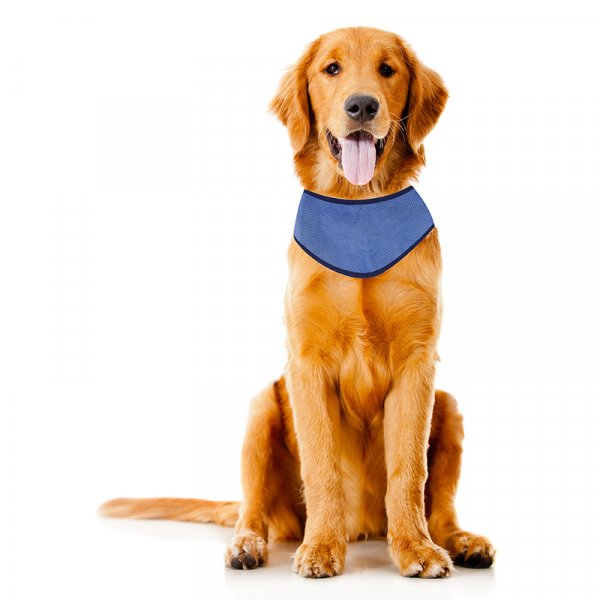 Uber-Activ Cooling Bandana L/XL