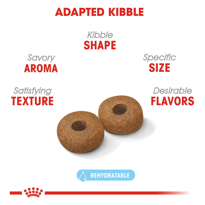 Royal Canin Medium Aging 10+ Dog Food - PetWorld