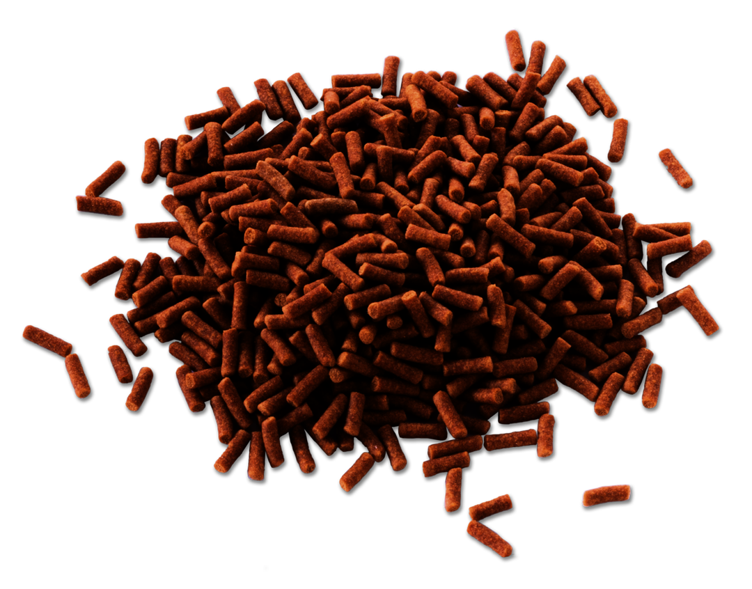 Tetra Goldfish Gold Japan sinking sticks, close up of the food