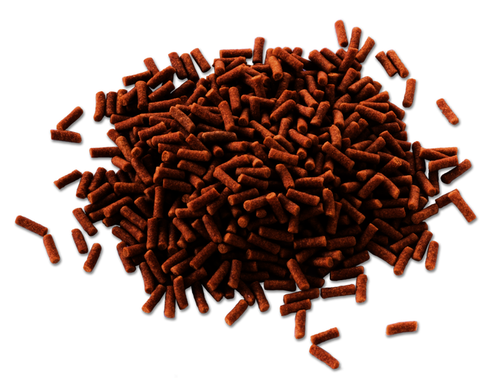 Tetra Goldfish Gold Japan sinking sticks, close up of the food