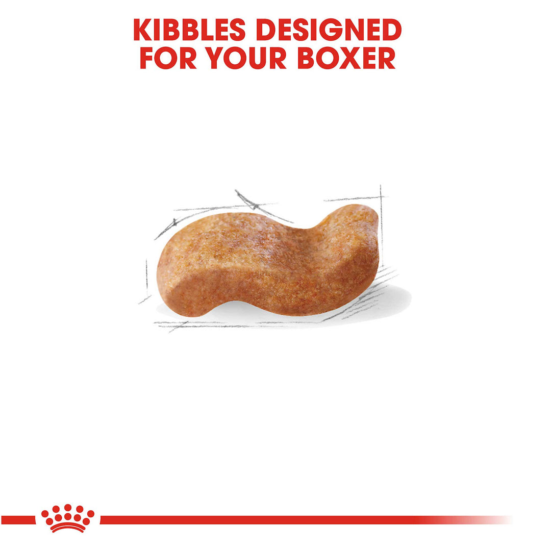 royal canin kibbles for boxers