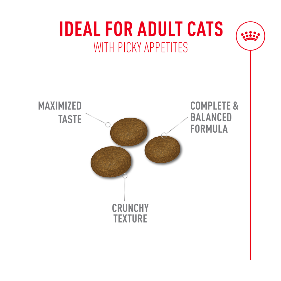 Royal Canin Fussy kibble: maximised taste, crunchy texture, complete and balanced formula for adult cats with picky appetites