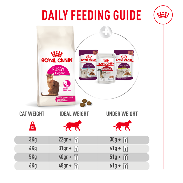 Royal Canin Fussy daily feeding guide when mixed with 1 pouch, by cat weight