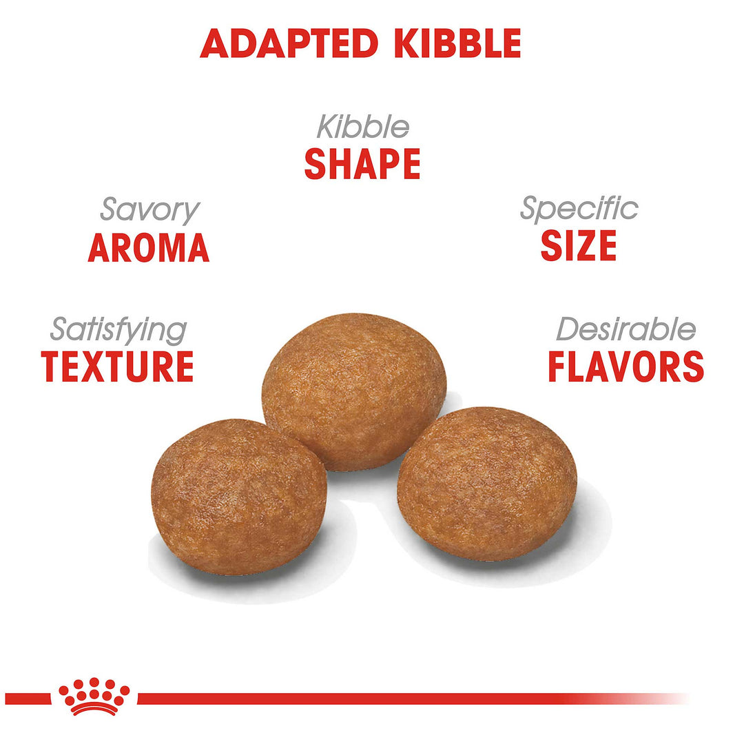 Royal Canin X-Small Adult 8+ Dog Food 1.5kg - PetWorld