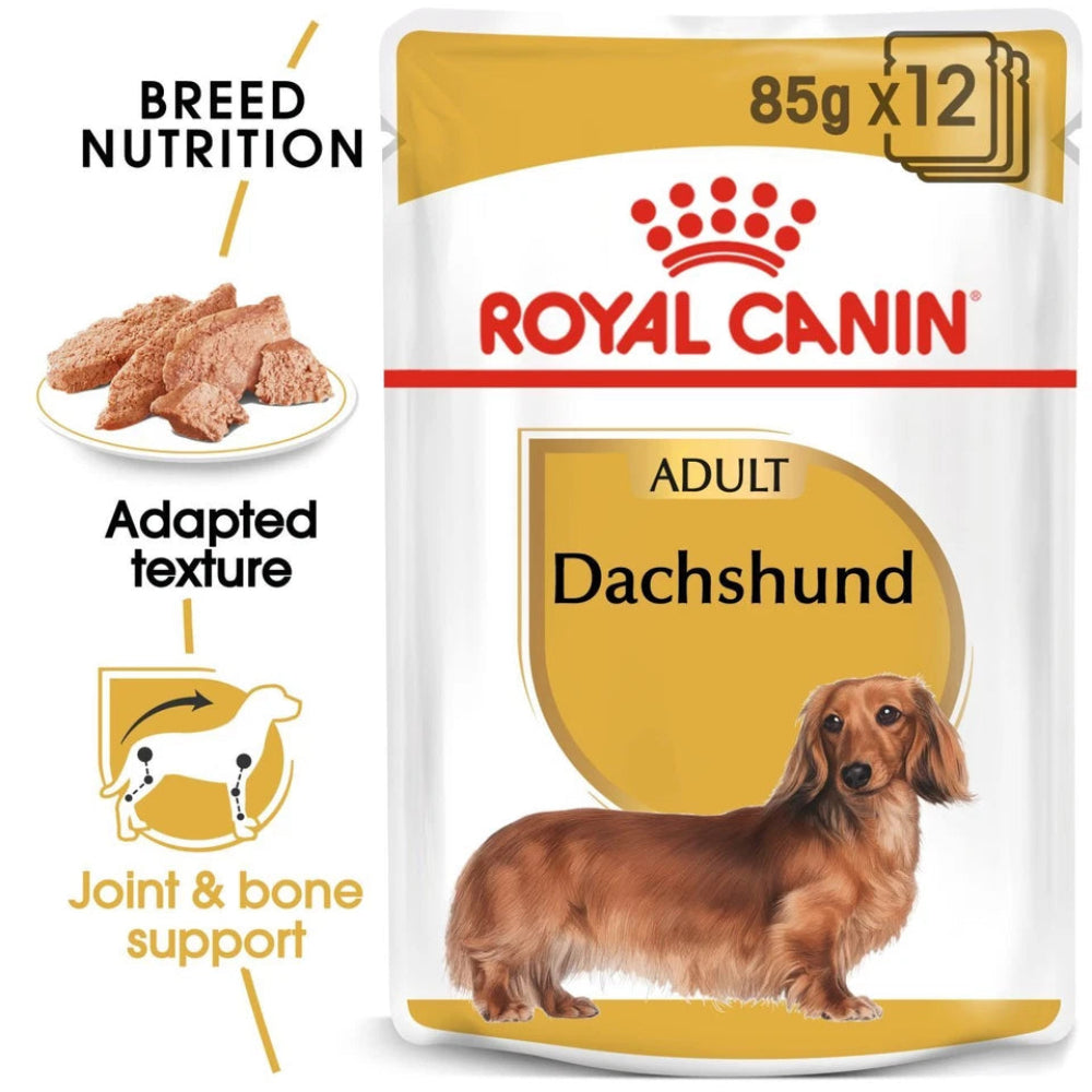 Wet food for Dachshunds

