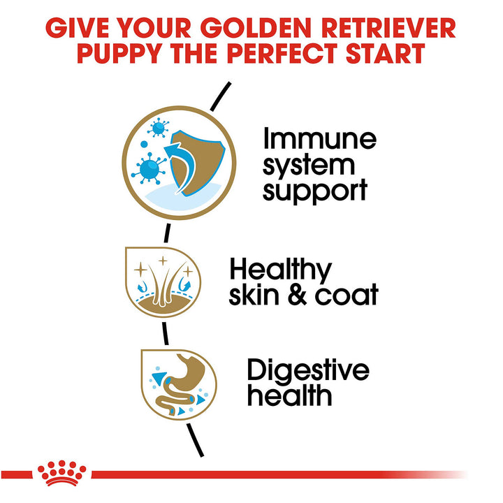 Royal Canin Junior Golden Retriever - PetWorld