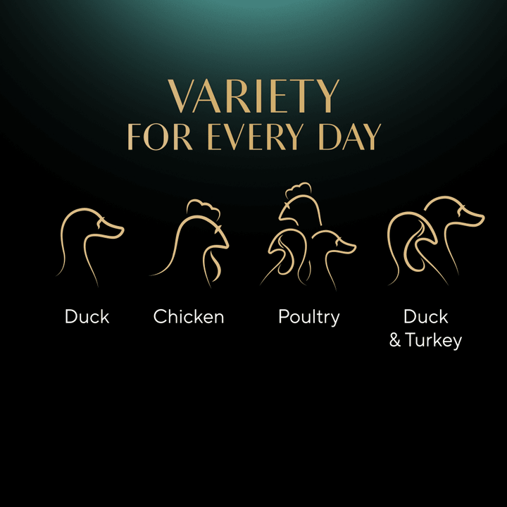 Sheba Fine Flakes Poultry Selection variety graphic showing the duck, chicken, poultry and turkey recipes
