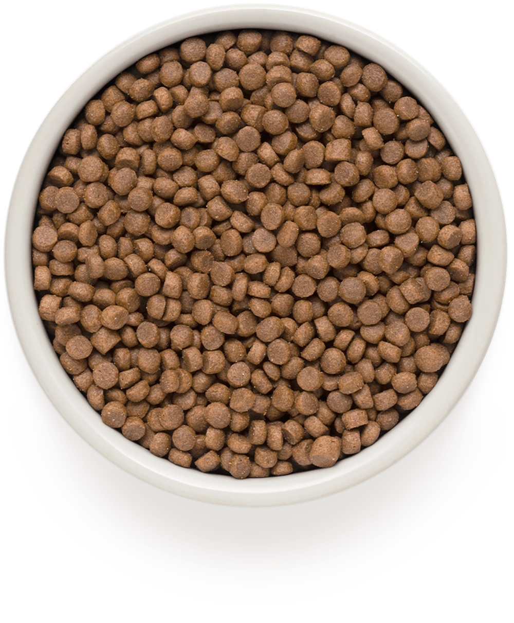 Grandorf 4 Meat Recipe Sterilised cat food kibble in a bowl