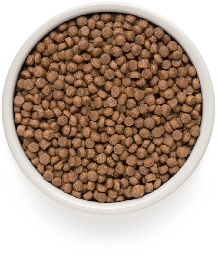 Grandorf 4 Meat Recipe Sterilised cat food kibble in a bowl