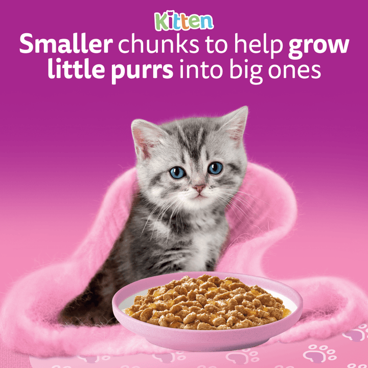 Whiskas Kitten smaller chunks to help grow little purrs into big ones